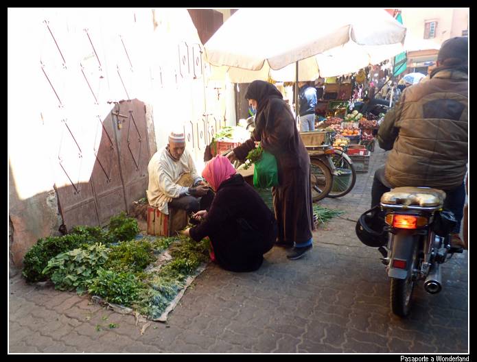Zoco Marrakech